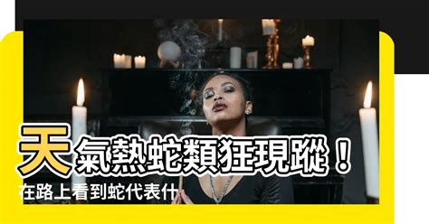 在路上看到蛇代表什麼|【在路上看到蛇代表什麼】夜路驚魂！在路上看到蛇代表什麼？